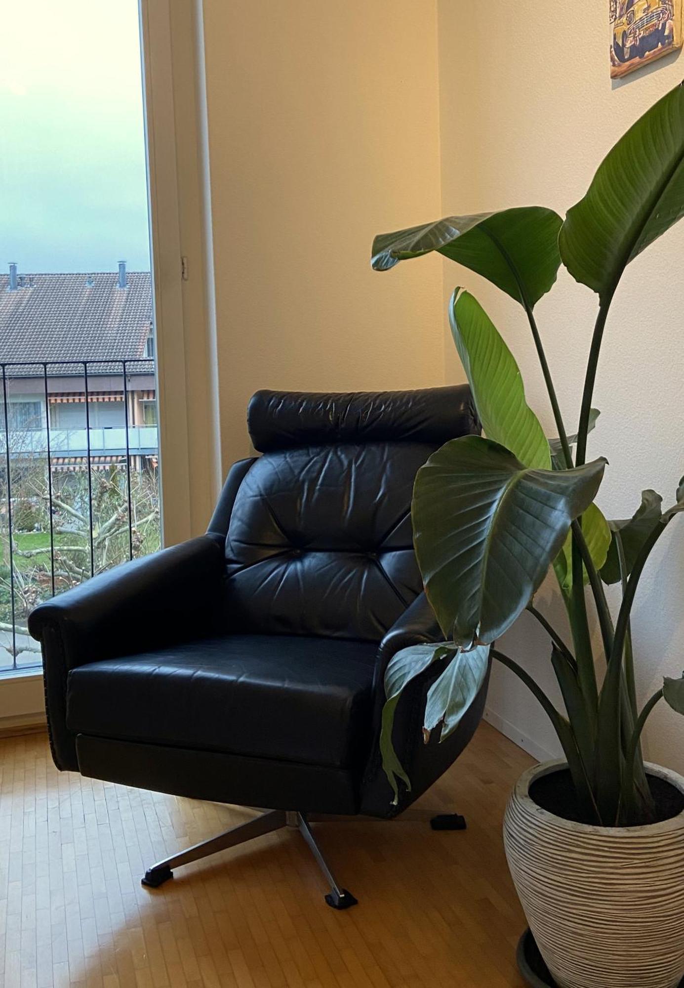 Apartament Limmatspitz Gebenstorf Zewnętrze zdjęcie