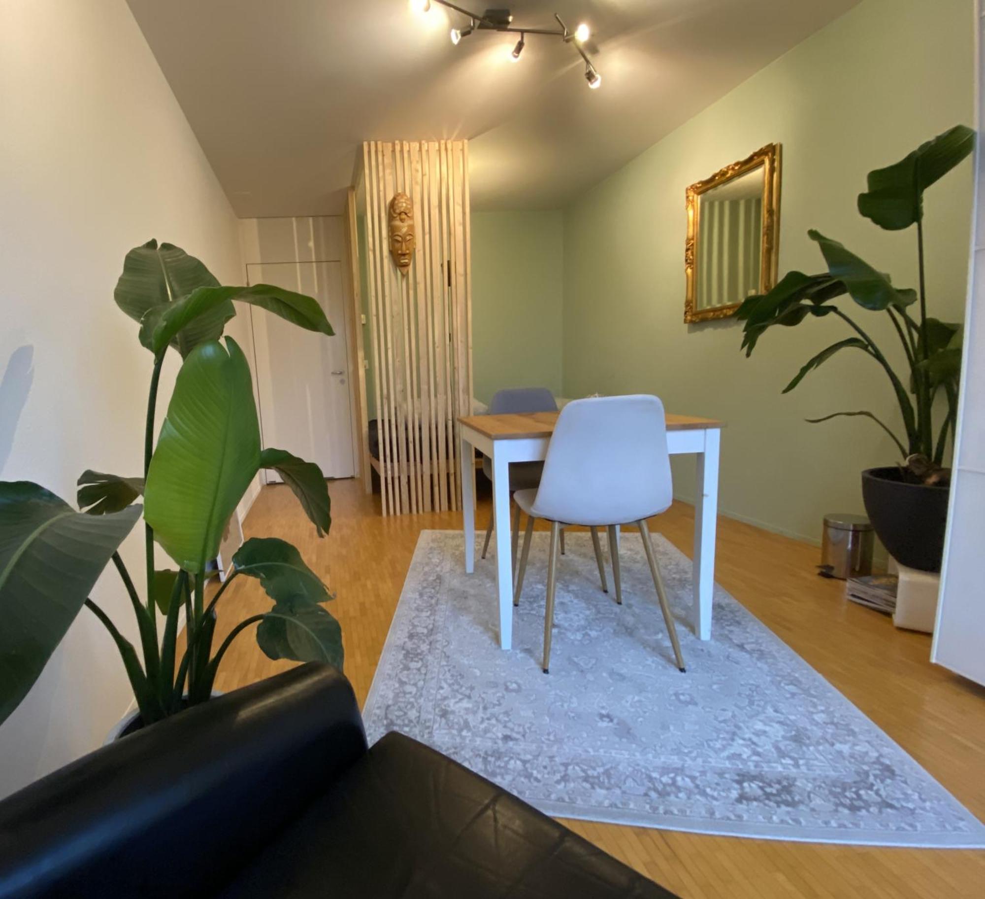 Apartament Limmatspitz Gebenstorf Zewnętrze zdjęcie